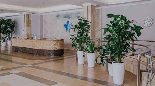 Бювет с минеральной водой